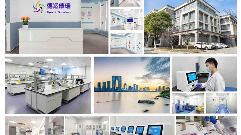 CRISPR技术革新基因检测与编辑：探索未知，点亮生命之光**