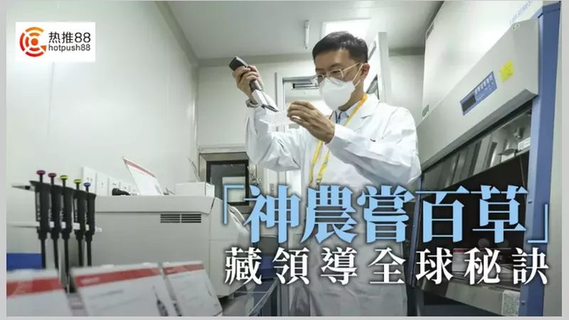 CDMO项目质量评估：从工艺验证到数据完整性的全链条逻辑