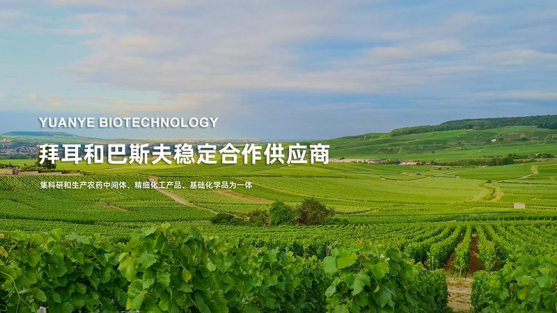 CRo工具生产厂家：揭秘医药研发背后的“隐形功臣
