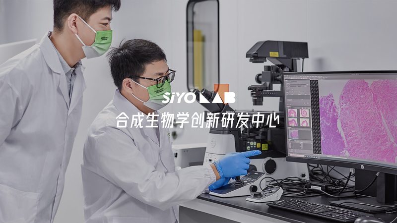 DNA聚合酶型号解析：揭秘基因编辑的“精准利器