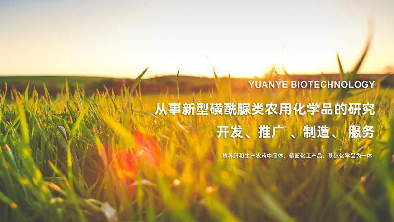 ADC药物价格背后的真实成本与市场逻辑