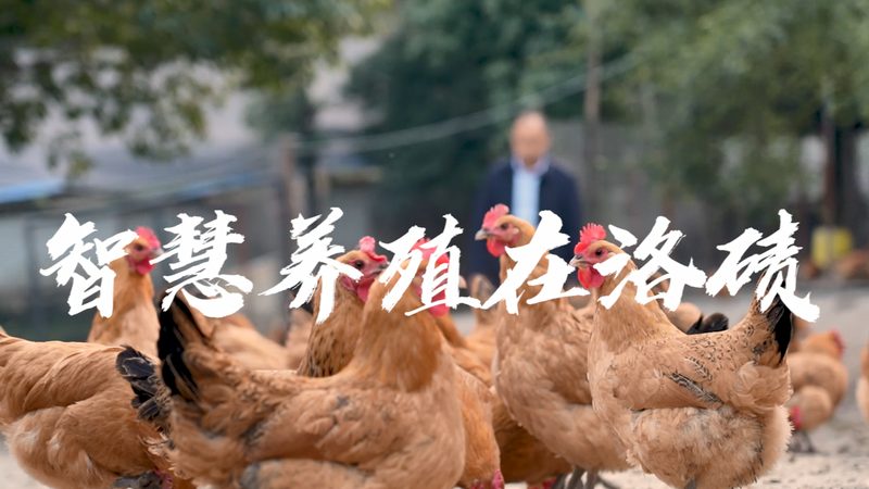 误区识别：不是越贵越好