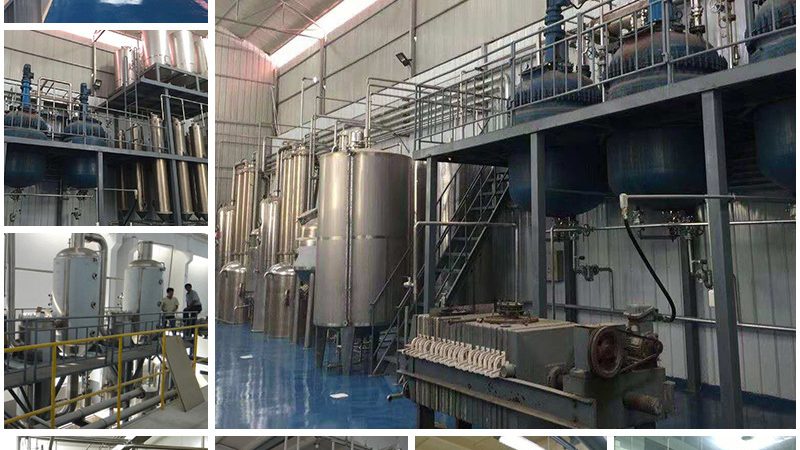 CDMO定制研发：揭秘技术转移流程中的关键步骤